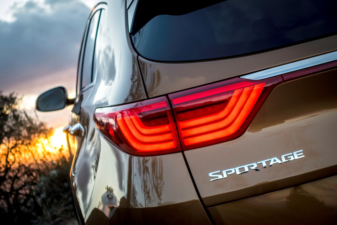 Car Importation
